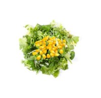 İmalatçısından en kaliteli ahşap salata tabağı modellerinin en uygun toptan satış listesi fiyatlarıyla satıcısı telefonu 0212 2370749 Ayrıca kampanyalı fiyatı;0212 2370750