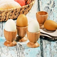 İmalatçısından en kaliteli bambu yumurtalık modellerinin en uygun toptan satış listesi fiyatlarıyla satıcısı telefonu 0212 2370749 Ayrıca kampanyalı fiyatı;0212 2370750